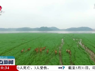 整点新闻20210601 16:00