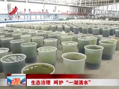 九江：生态治理 呵护“一湖清水”