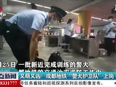 成都：又萌又凶！成都地铁“警犬护卫队”上岗