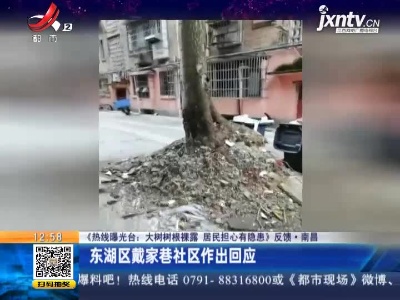 【《热线曝光台：大树树根裸露 居民担心有隐患》反馈】南昌：东湖区戴家巷社区作出回应