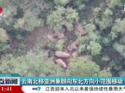 云南北移亚洲象群向东北方向小范围移动