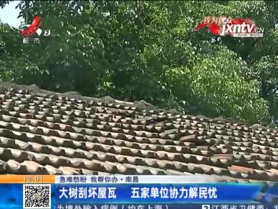 【急难愁盼 我帮你办】南昌：大树刮坏屋瓦 五家单位协力解民忧