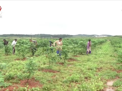 江西明确50%以上土地出让收益用于农业农村