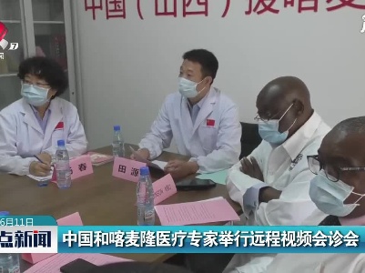 中国和喀麦隆医疗专家举行远程视频会诊会
