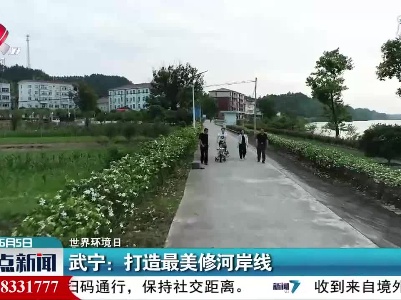 【世界环境日】武宁：打造最美修河岸线