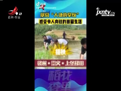 赣州崇义上堡梯田 感受令人向往的田园生活