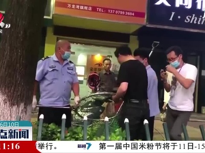 遛狗不牵绳 萍乡开出首张“犬类罚单”
