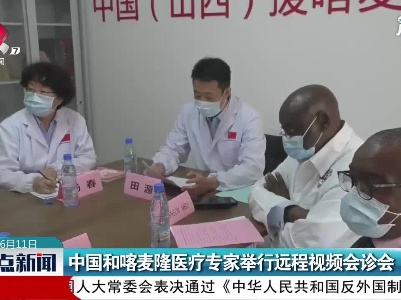 中国和喀麦隆医疗专家举行远程视频会诊会