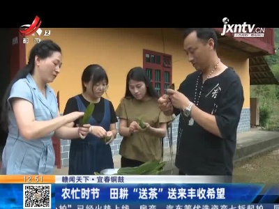 【赣闻天下】宜春铜鼓：农忙时节 田耕“送茶”送来丰收希望