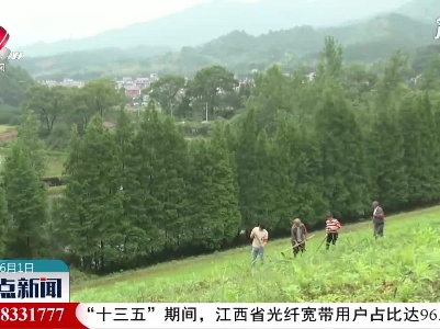 万年：加强巡查宣传 防范地质灾害