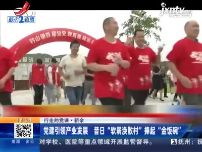 【行走的党课】新余：党建引领产业发展 昔日“软弱涣散村”捧起“金饭碗”