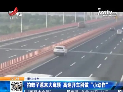 浙江杭州：拍蚊子惹来大麻烦 高速开车别做”小动作“