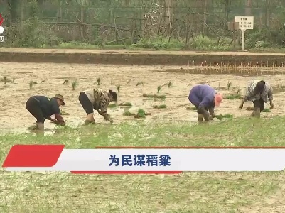 社会传真20210630 我是共产党员——为民谋稻粱