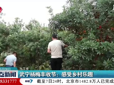 武宁杨梅丰收节：感受乡村乐趣