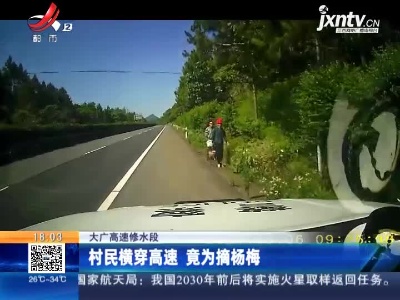 大广高速修水段：村民横穿高速 竟为摘杨梅