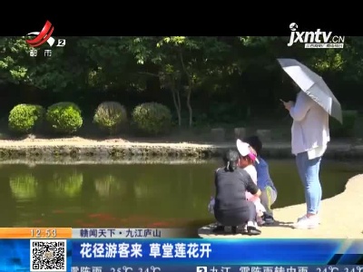 【赣闻天下】九江庐山：花径游客来 草堂莲花开