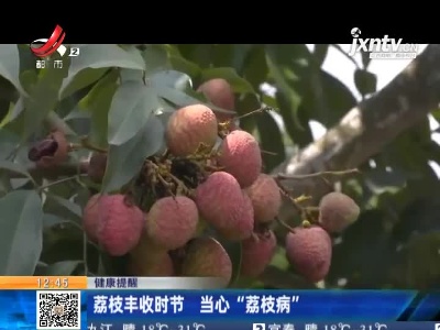 荔枝丰收时节 当心“荔枝病”