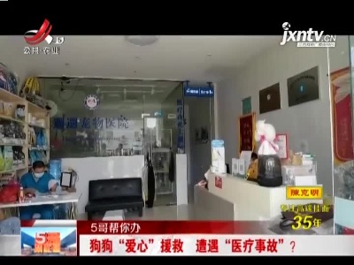 【5哥帮你办】南昌：狗狗“爱心”援救 遭遇“医疗事故” ？