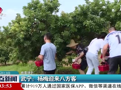 【欢度端午】武宁：杨梅迎来八方客
