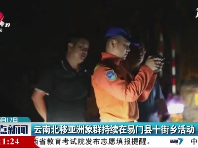 云南北移亚洲象群持续在易门县十街乡活动