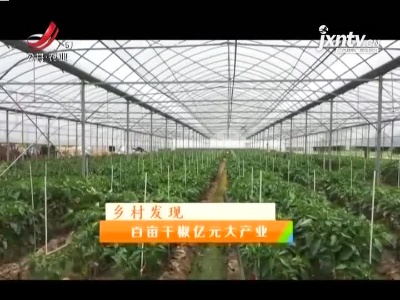 稻花香里20210628 乡村发现——百亩千椒亿元大产业