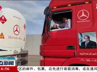 塞西：埃及全力支持巴勒斯坦