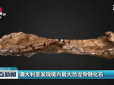 澳大利亚发现境内最大恐龙骨骼化石