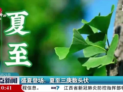 盛夏登场：夏至三庚数头伏