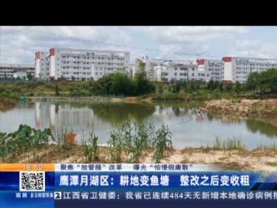 【聚焦“放管服”改革 曝光“怕慢假庸散”】鹰潭月湖区：耕地变鱼塘 整改之后变收租