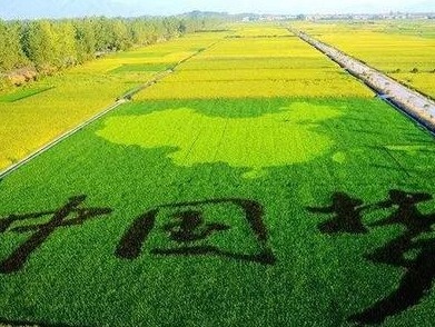 江西9人被授予全国乡村振兴（扶贫）系统先进个人