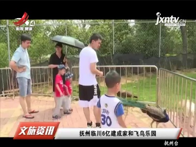 抚州临川6亿建成家和飞鸟乐园