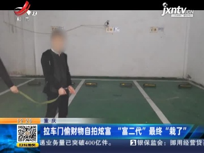 重庆：拉车门偷财物自拍炫富 “富二代”最终“栽了”