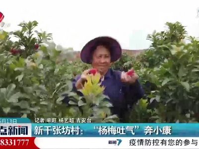 新干张坊村：“杨梅吐气”奔小康