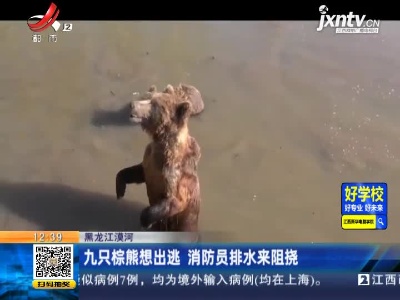 黑龙江漠河：九只棕熊想出逃 消防员排水来阻挠