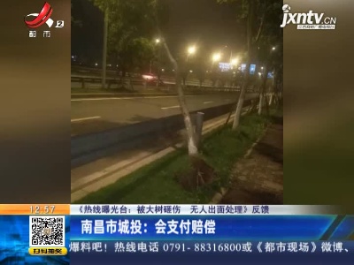 【《热线曝光台：被大树砸伤 无人出面处理》反馈】南昌市城投：会支付赔偿