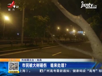 【热线曝光台】南昌：市民被大树砸伤 谁来处理？