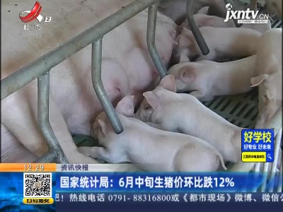 国家统计局：6月中旬生猪价环比跌12%