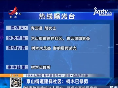 【《树木太茂盛 影响居民采光》反馈·南昌青云谱】京山街道建祥社区：树木已修剪