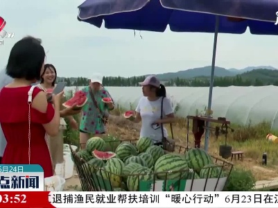 万年：党员干部助农销售西瓜