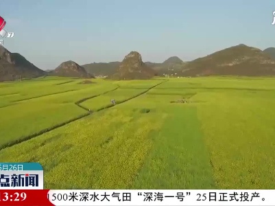 暴雨即将来袭：农业生产需要加强防范