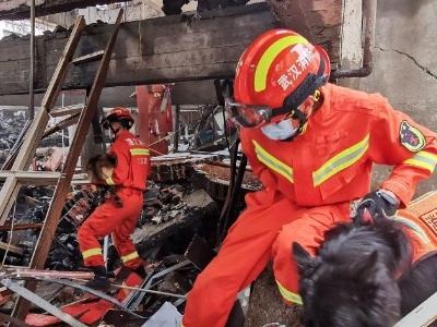 湖北十堰燃气爆炸事故初步调查结果公布 8名犯罪嫌疑人被刑拘 