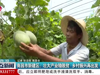 南昌市新建区：壮大产业稳脱贫 乡村振兴再出发