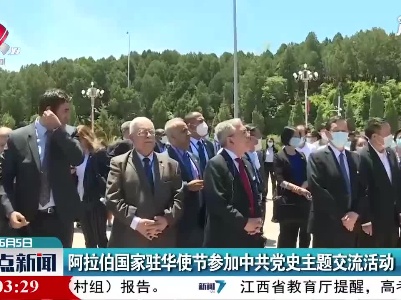 阿拉伯国家驻华使节参加中共党史主题交流活动