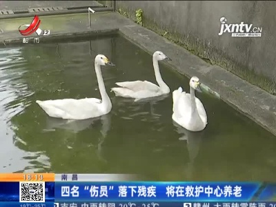南昌：四名“伤员”落下残疾 将在救护中心养老