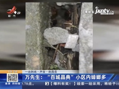 【一追到底·声音】南昌县·万先生：“百城晶典”小区内蟑螂多