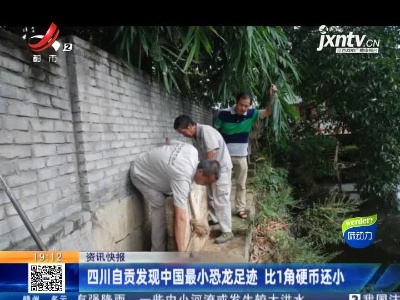 四川自贡发现中国最小恐龙足迹 比1角硬币还小