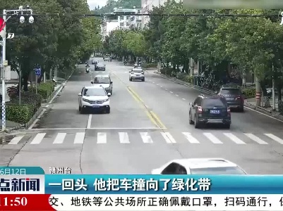赣州：一回头 他把车撞向了绿化带