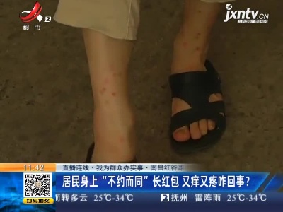 【直播连线·我为群众办实事】南昌红谷滩：居民身上“不约而同”长红包 又痒又疼咋回事？