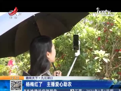 【赣闻天下】九江湖口：杨梅红了 主播爱心助农