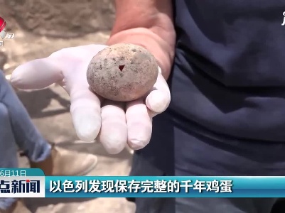 以色列发现保存完整的千年鸡蛋